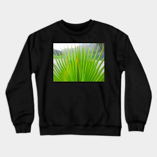 Palm Fronds Crewneck Sweatshirt